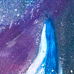 Dolphin Dreams